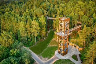 Treetop trail and observation tower